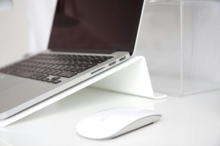 pexels-karina-finger-1241775501-34502055